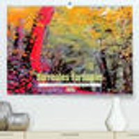 Surreales Farbspiel (Premium hochwertiger DIN A2 Wandkalender 2023 Kunstdruck in Hochglanz)