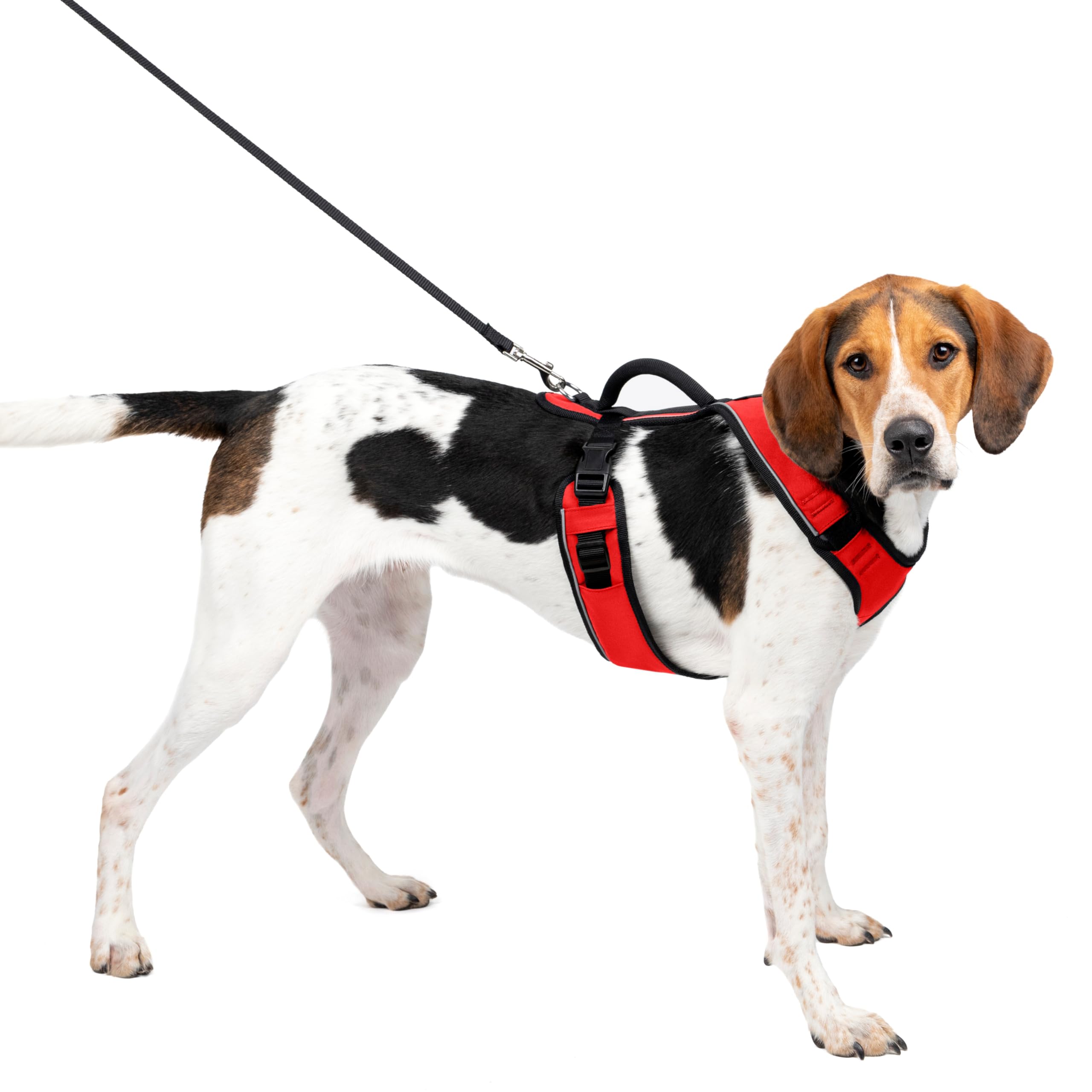 PetSafe EasySport Hundegeschirr, Komplett gepolstert mit elastischem Halsteil, Für Hunde von 29,5 kg bis 36 kg, Größe L, Rot