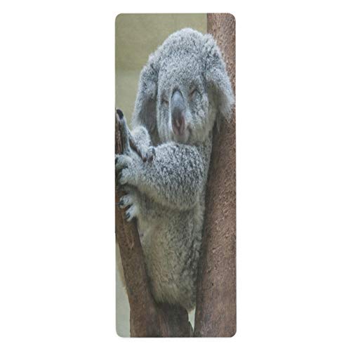 Reeless niedliche Koala-Reise-Yogamatte, rutschfest, leicht, faltbar, für Yoga, Pilates, Gymnastik, Bodenübungen