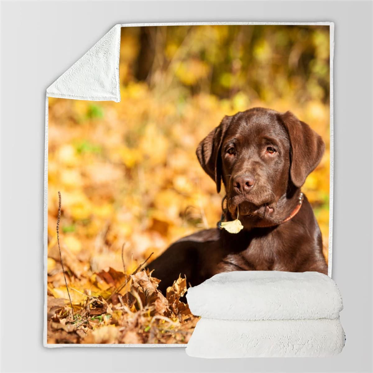 Decke 150x200 cm Hund Kuscheldecke Flauschig 3D Digitaldruck Weiche Warme Mikrofaser Flanelldecke Labrador-Welpe Motiv Wohndecke Sofadecke Couchdecke Blanket für Erwachsene