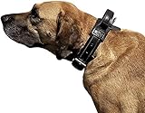Dingo Gear Halsband für Hund ''Drago'' aus Band Amortisiert Schwarz mit Griff Handgefertigt S04023 40-48 cm