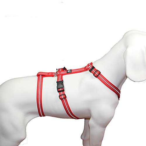 Das Original - NoExit Hundegeschirr ® - 100 % ausbruchsicher für Angsthunde, Sicherheitsgeschirr für Pflegehunde, Panikgeschirr, Reflexband rot, Bauchumfang 55-75 cm, 20 mm Bandbreite