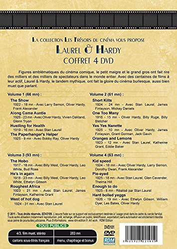 Coffret laurel et hardy, 16 courts-metrages : 1916 - 1926 [FR Import]