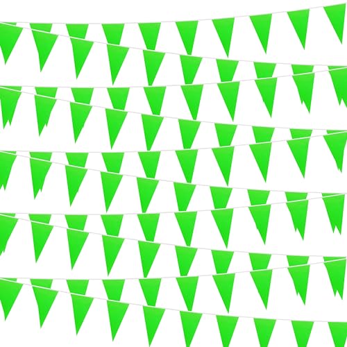 30 m grüne Wimpelkette zum Aufhängen, dreieckige Wimpelkette, solide, grüne Blanko-Banner, Flaggen für große Eröffnung, Geburtstagsfeier, Festival, Feier, 60 Stück (grün)