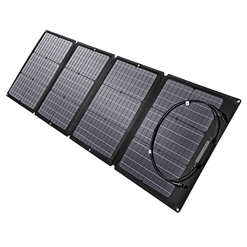 ECOFLOW 110W Tragbares Solarpanel für EFDELTA, Faltbares Solarladegerät, in Reihe Betreibbar mit EFDELTA Akku-USV, Wasserdicht Nach IP67 für Camping im Freien