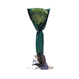 Bio Green Stammschutz für Palmen und Bäume | schützt vor Wind, Regen, Feuchtigkeit, Schnee und Frost | atmungsaktiver Vliesmantel für Stämme bis Ø 35 cm | 150 cm hoch