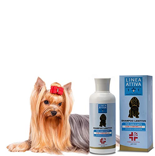 Natürliches Shampoo für Hunde und Katzen, 250ml - Schützende Formel mit Kamille und Pflanzenölen - Feuchtigkeitsspendend und Erfrischend - Linea 101