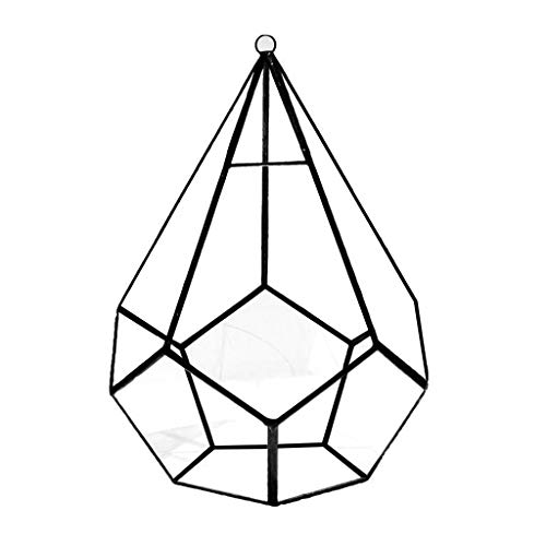 Fünfseitiges Rhombus-Glasregal, geometrisches Sukkulenten-Terrarium, geeignet für Schreibtisch-Dekoration, großer transparenter Moos-Pflanzgefäß, Schmuckkästchen, Perlen, Aufbewahrung, Vitrine,