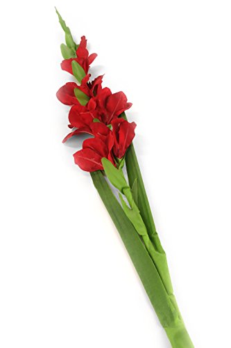 Closer 2 Nature künstliche Blumen Floral Elegance, Gladiole, 118 cm, rot