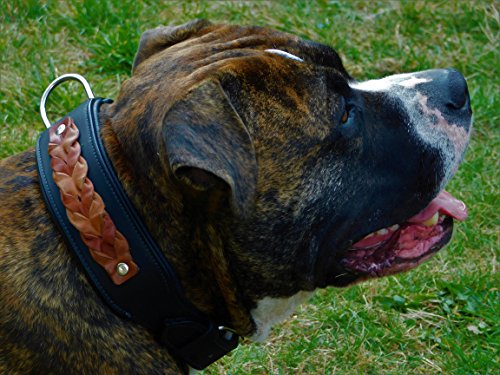 Tysons Breeches Robin Hundehalsband Leder Halsband extra Breit Schwarz Braune Kordel weich unterlegt M L XL gr. + Mittel Hunde (XL)