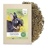 Löwenzahn Samen für Kaninchen - Wildkräuter Saatgut als optimale Futterergänzung für Kaninchen, Meerschweinchen und Schildkröten (50.000 Samen)