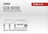 Korg EXB-M256 EXB-Speicher 256 MB