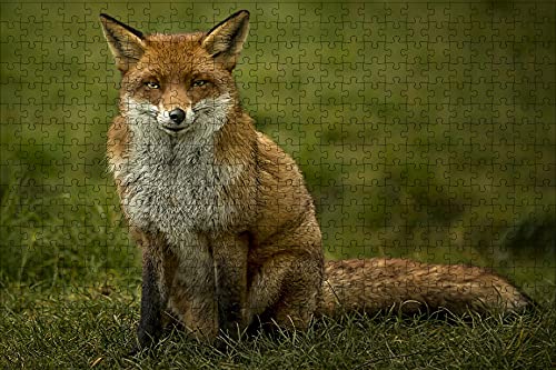 LHJOY geduldsspiel für Erwachsene 3D Puzzle 500 Teile Fuchs Tier starrt Geburtstagsgeschenk 52x38cm