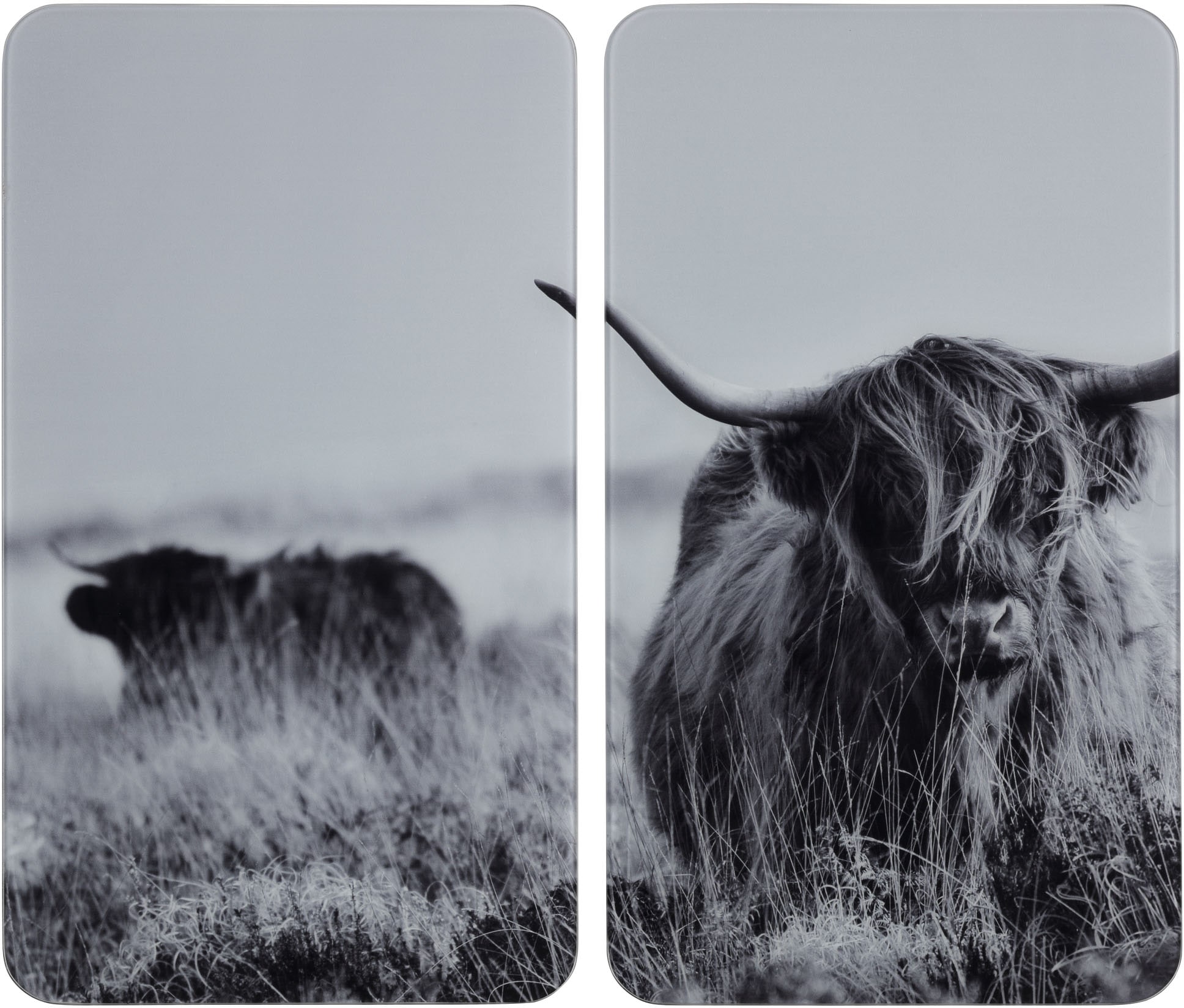 WENKO Herd-Abdeckplatte "Highland Cattle", (Set, 2 tlg.)