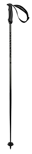 Völkl Unisex – Erwachsene PHANTASTICK Carbon Poles Skistöcke, Grey, 110