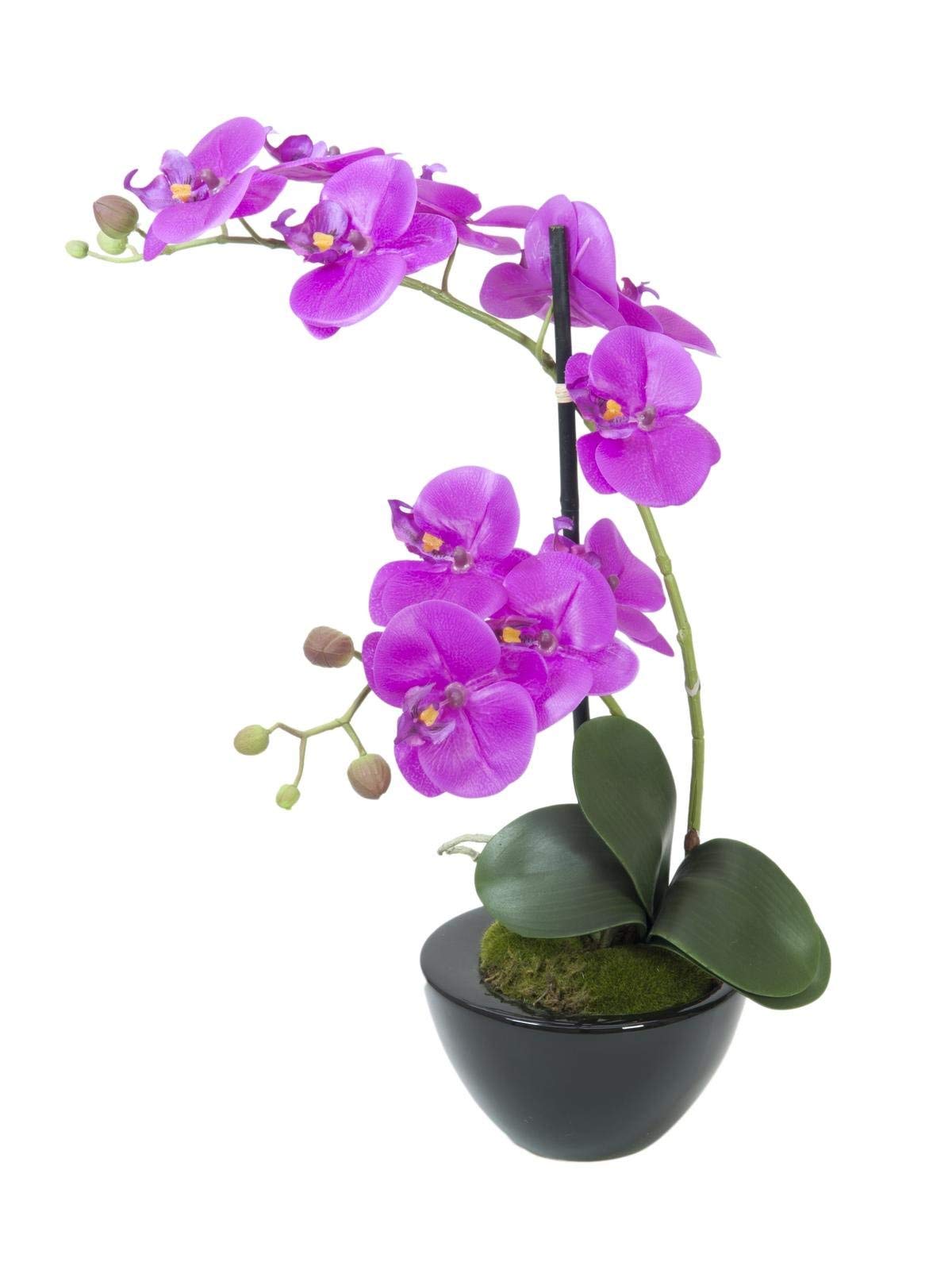EUROPALMS Orchideen-Arrangement 4, künstlich | Orchidee im Dekotopf