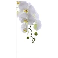 mySPOTTI Badrückwand »Orchid Phala«, BxH:100 cm x 210 cm, weiß