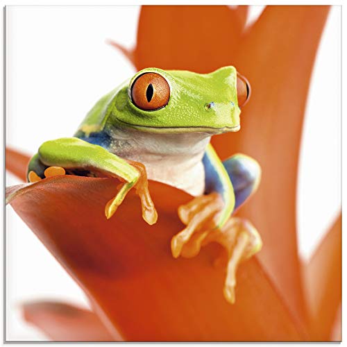 Artland Qualitätsbilder I Glasbilder Deko Glas Bilder 30 x 30 cm Tiere Wassertiere Frosch Foto Orange A6KX Frosch auf seinem Thron