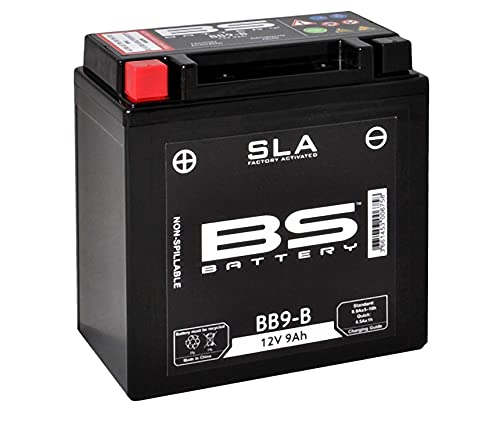 BS Battery 300837 BB12AL-A2 AGM SLA Motorrad Batterie, Schwarz