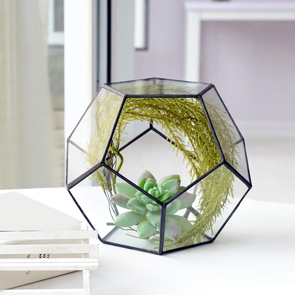 Oyunngs Glas Geometrisches Terrarium, Geometrische Form Glas Blumentopf Sukkulenten Pflanze Pflanzgefäß Container Landschaft Dekoration (Keine Pflanzen enthalten)