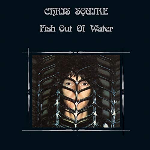 Fish Out of Water-Digi-