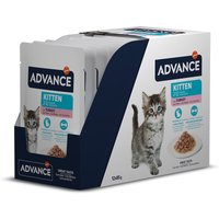 Advance Kitten Truthahn - 24 x 85 g