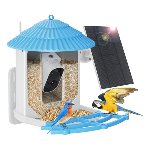 Automatische Aufnahme von Vogelvideos, intelligentes Vogelfutterhaus mit Kamera und 2 Solarzellen,