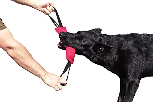 Dingo Gear Baumwolle-Nylon Beißwurst für Hundetraining mit Zwei Griff 28 x 7 cm Rosa S00311