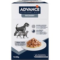 Advance Veterinary Diets Recovery - 22 x 100 g
