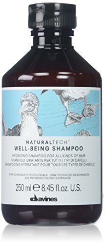 Davines Naturaltech Well-Being Shampoo 250ml