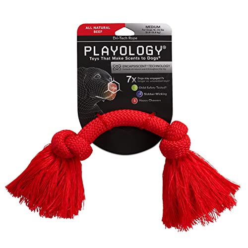 Playology - Dri-Tech Hundespielzeug aus Seil; mittelgroß; fesselnder rein natürlicher Rindfleischduft