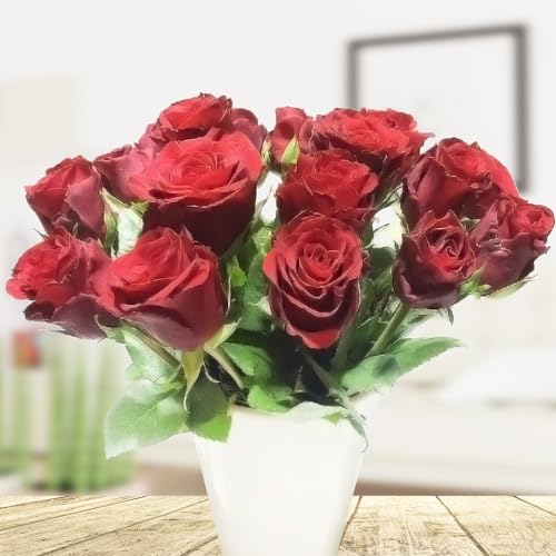 20 frische rote Rosen - Inklusive Keramikvase - Inklusive Grußkarte # Geschenk # Geburtstag # Liebe