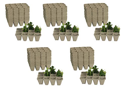 Benelando® 60 Anzuchtschalen mit jeweils 12 Unterteilungen - kompostierbar