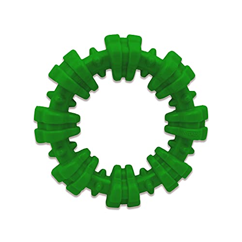 Nylabone Extrem Robustes Kauspielzeug für Hunde, mit weihnachtlichem Strukturiertem Ring, grün, wintergrün, klein, für Hunde bis 11 kg