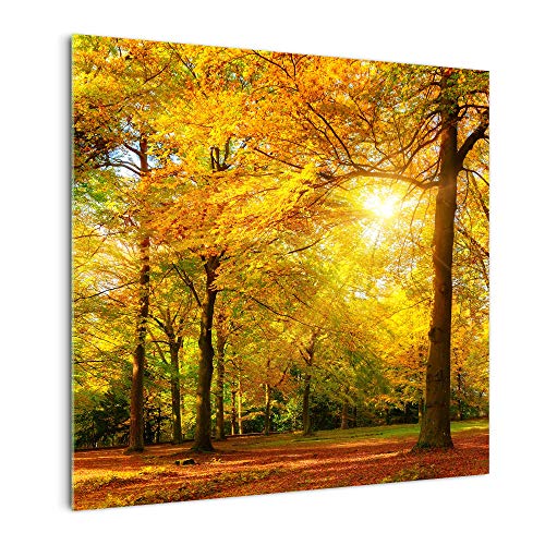 DekoGlas Küchenrückwand 'Baum im Herbstpark' in div. Größen, Glas-Rückwand, Wandpaneele, Spritzschutz & Fliesenspiegel