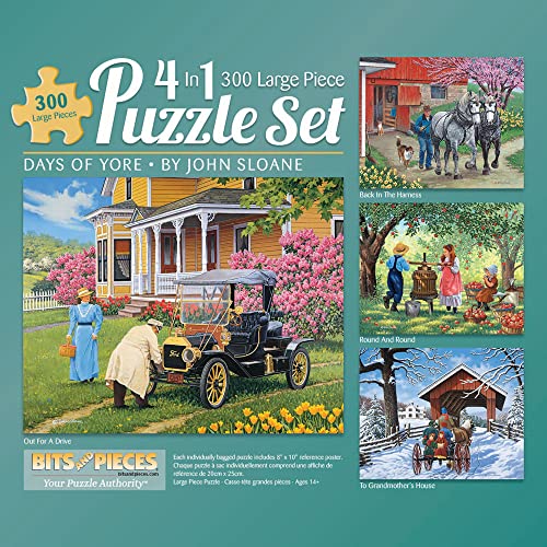 Bits and Pieces - 300 Teile Puzzle für Erwachsene 40,6 x 50,8 cm (4-in-1-Multi-Pack John Sloane Collection One)