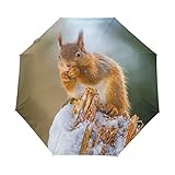 Hunihuni Regenschirm mit Tiermotiv und süßem Eichhörnchen, automatisch, faltbar, Winddicht, wasserdicht, UV-Schutz, Sonnenschutz