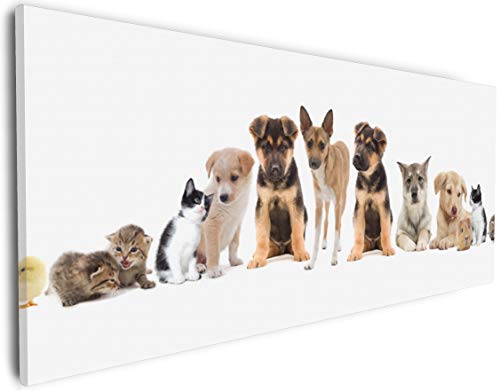 Wallario Leinwandbild Süße Haustiere - Katzen Hunde Hamster Küken II - Wandbild 30 x 75 cm: Kunstdruck | Brillante lichtechte Farben | hochauflösend | verzugsfrei