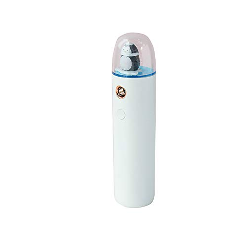 Gesichts-Kältenebel-Nano-Sprayer, für Zuhause, Spa, Gesichtspflege, Hautpflege für Frauen und Männer