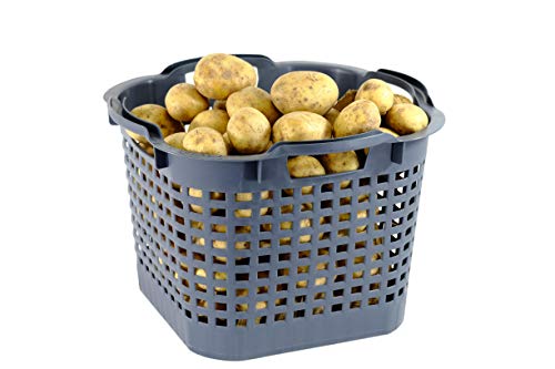Greenlife Kartoffelkorb Gemüsekorb 25L 10 St. grau Made in Germany, robust, stapelbar, langlebiger Kunststoff