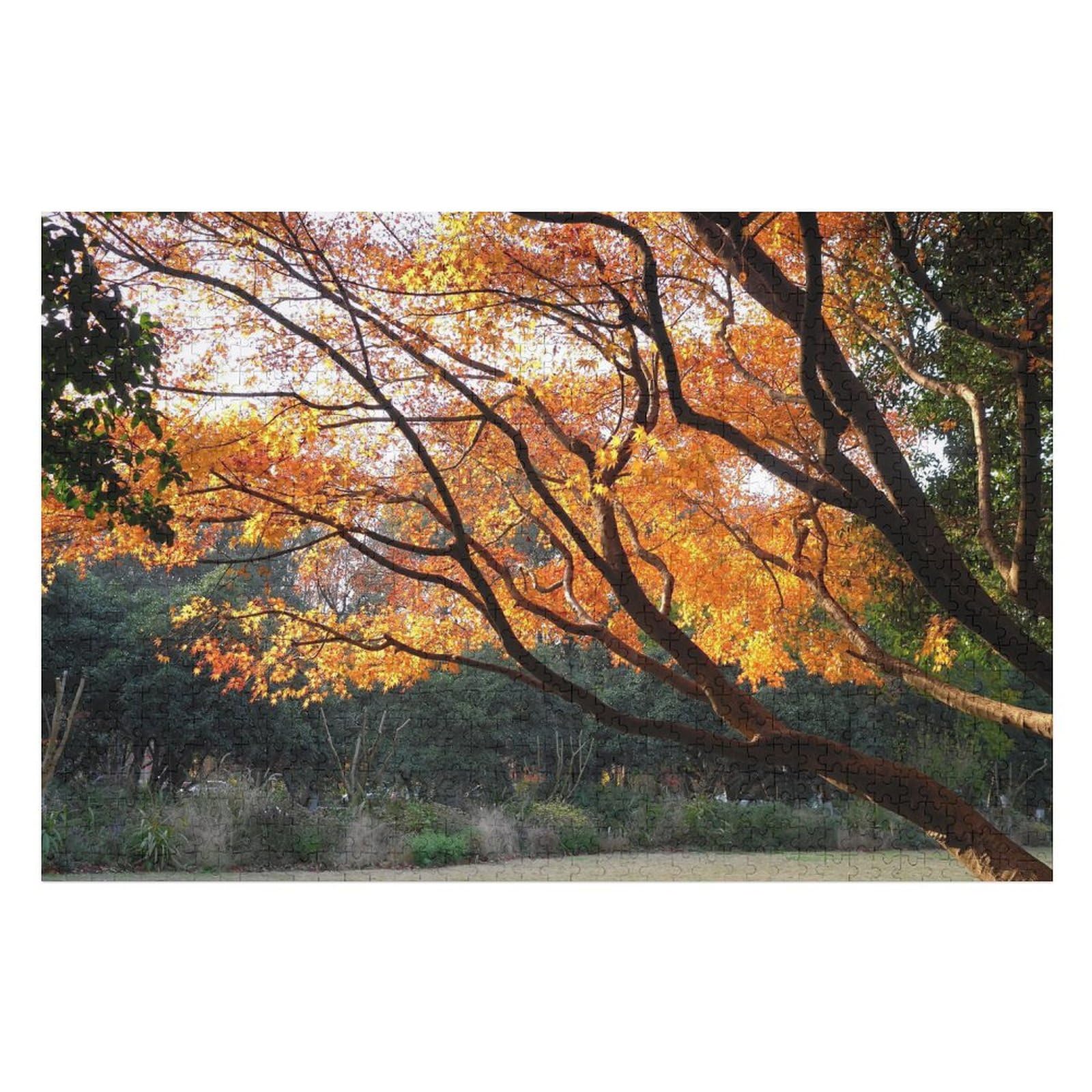 Orange and Yellow Maple Leaves, Tree, Autumn，Puzzle für Erwachsene und Kinder ab 14 Jahren, 1000 StüCk，，Lernspielzeug FüR Kinder 70x50Papier