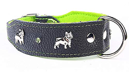 Capadi K0305 Hundehalsband für Bulldoge verziert mit Metallaplikation aus echtem strapazierfähiges Leder weich unterlegt, Grün, Breite 40 mm, Länge 45 cm
