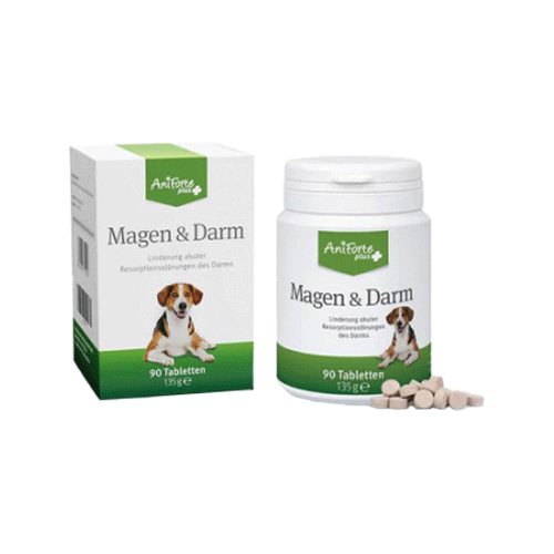 AniForte Plus Magen & Darm für Hunde 90 Tabletten - bei akutem Durchfall, Magen-Darm-Beschwerden, Durchfallerkrankung, Präbiotika für eine gesunde Darmflora, Linderung Resorptionsstörungen