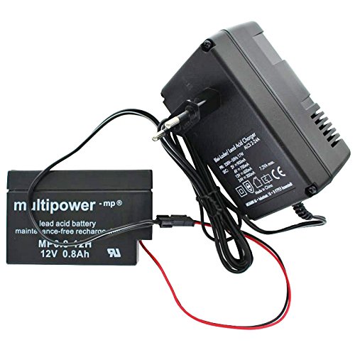 AccuCell Neu Ladegerät inkl. 1 Bleigel Akku mit Kabel und Molex Stecker schwarz passend für Multipower Blei Akku MP0.8-12H Heim und Haus ALCS 2-24A Automatik Batterieladegerät mit Erhaltungsladung