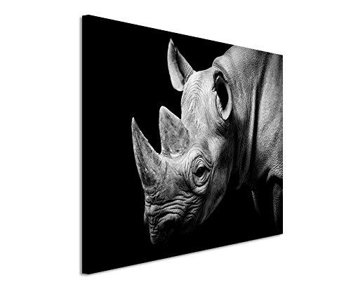 Fotoleinwand 120x80cm Tierbilder – Nashorn Porträt schwarz weiß