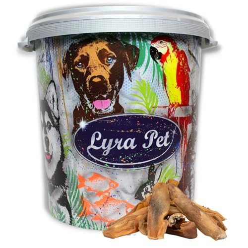 Lyra Pet 5 kg Rinderkopfhaut Goldbraun in 30 L Tonne Hundefutter Snack Leckerli