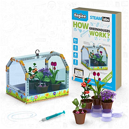 Engino - Steam Labs Spielzeug – Wie funktioniert Gewächshäuser? | Lern-Wissenschafts-Kits für Kinder | Geführtes Experiment & Aktivitäten Kit