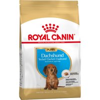 Royal Canin Dachshund Puppy - 3 x 1,5 kg