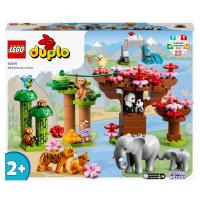 LEGO® DUPLO Wilde Tiere Asiens 10974