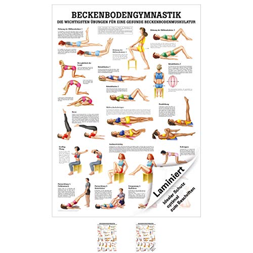 Beckenbodengymnastik Lehrtafel Anatomie 100x70 cm medizinische Lehrmittel